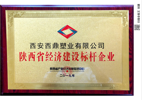 陜西省經(jīng)濟建設標桿企業(yè)